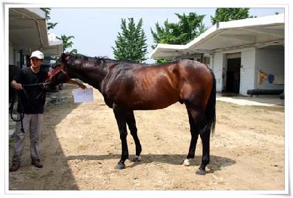 �ֵ�ӷ������� ����