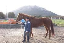 �����ǿ��� (BOGUKUIYEOWANG) ����