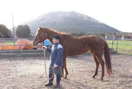 �����ǿ��� ����