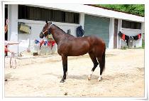 �����ε������ (BEHIND THE SCENES) ����