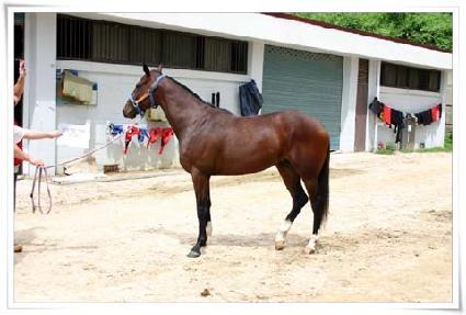 �����ε������ ����