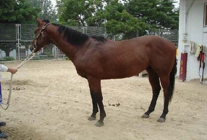 ����ũ���� ����