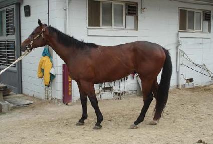 �ݺ���ȥ ����