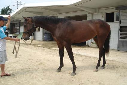 ��콺�ٺ� ����