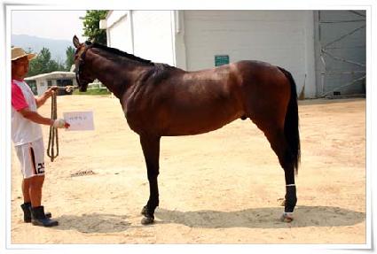 ����Ư�� ����