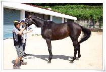 ���̷�� (KKUMIRUMI) ����