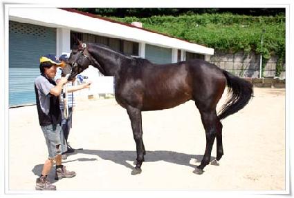 ���̷�� ����