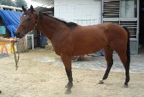 �������� (YEOREUMCHUKJE) ����