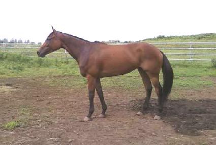 õ��õ�� ����