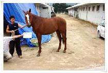 ���̵��� (BE MY DAY) ����