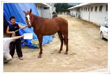 ���̵��� ����