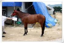 Ű�������� (KEY TO SUCCESS) ����