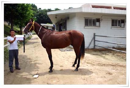 õ������ ����