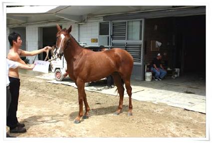 �������� ����