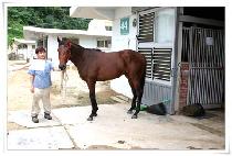 ��ġ����ø��� (MARCHES SAFELY ON) ����