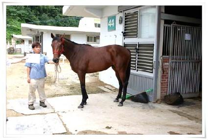 ��ġ����ø��� ����