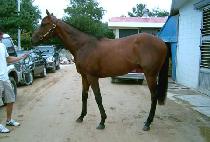 �ؽ�Ʈ���� (NEXT VISION) ����