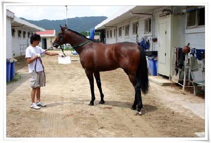 �𸮹�Ƽ����� ����