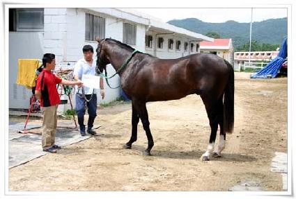 ���̿�ƪ ����