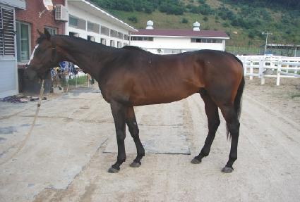 ��õ��ȭ ����