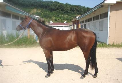 �����Ƽ ����