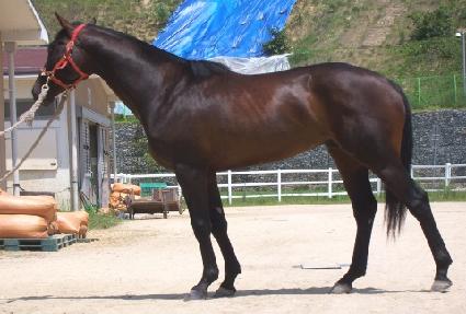 ������ ����