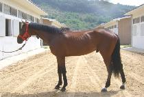 ����������� (YEORUBUNUI HUIMANG) ����