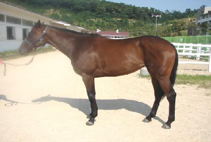 ������̴� ����