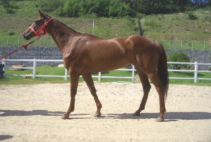 ���۷θ��� ����