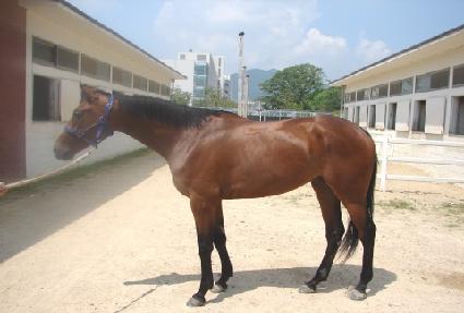 è�Ǿ��� ����