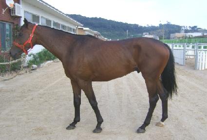 ��Ȱ� ����