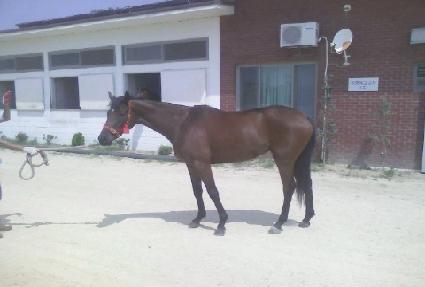 ����Ʈ���� ����