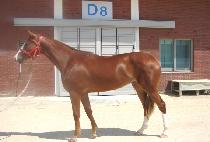 �������� (DOTO HIME) ����