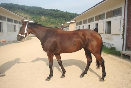 ��è�Ǿ� ����