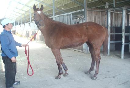 ����������� ����