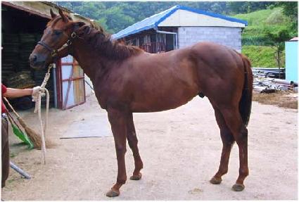 ĸƾ��ǻƼ ����