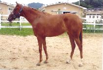 �����ѽ¸� (YEONGWONHANSEUNGNI) ����