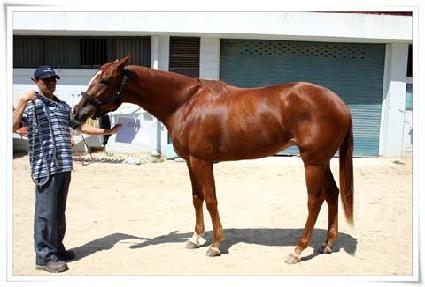 ��ڼҳ�Ÿ ����