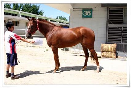 ���Ĺ ����