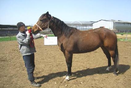 �ø���� ����