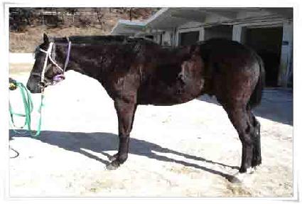 ����Ű�� ����