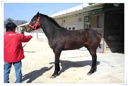 ���ο� ����