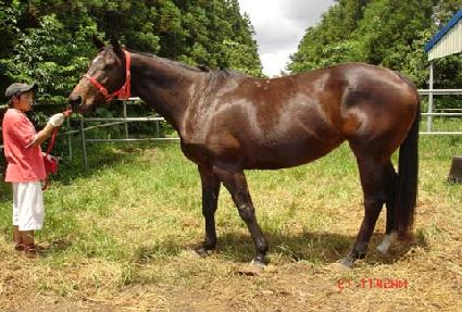 �ʰ�Ĺ ����