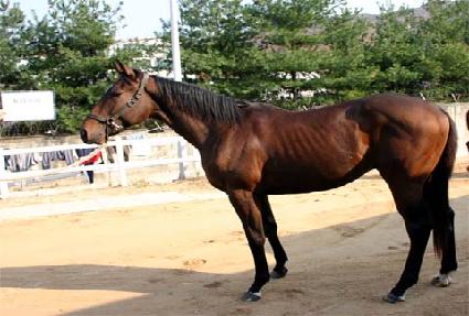 Ȳ�ݼ��� ����