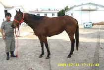 �뽺���� (NORTH LASS) ����