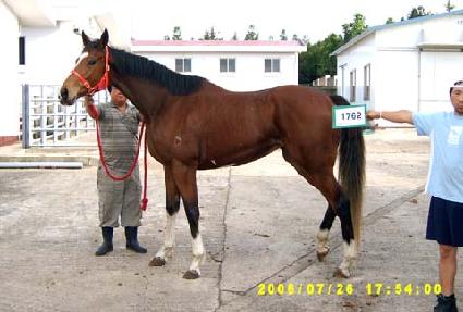 ����¼�ưƼ ����