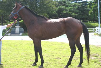 ������ ����