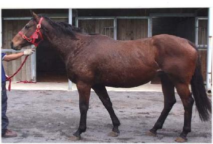 �ö��׿�ǽ���� ����