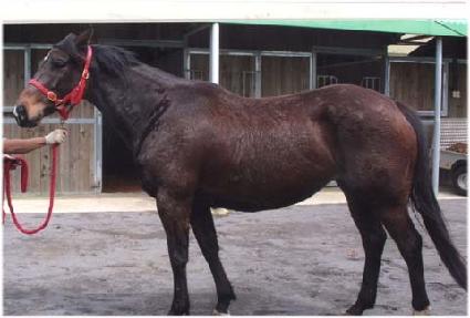 ���� ����