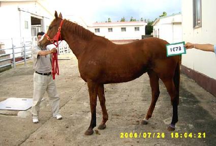 ��Ƽ�۸��� ����